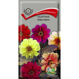 ������ ������ �������� �����������   ����