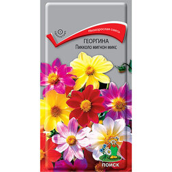 ������ ������ �������� ������� ������ ����   ����