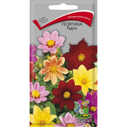 ������ ������ �������� ������   ����