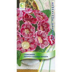 ������ ������ ��������� ������� ������� �������   ����