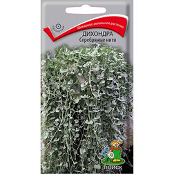 ������ ������ �������� ���������� ����   ����