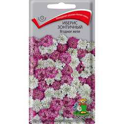 ������ ������ ������ ��������� ������� ����   ����