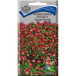 ������ ������ ���������� ������� ��������� ����   ����