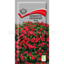 ������ ������ ���������� ��������� �����   ����