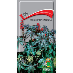 ������ ������ ��������� �������   ����