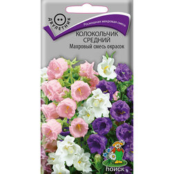 ������ ������ ����������� ������� �������� ����� �������   ����