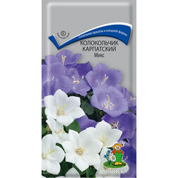 ������ ������ ����������� ���������� ����   ����