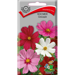 ������ ������ ������ ��������   ����