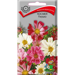 ������ ������ ������ �������   ����