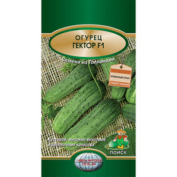 ������ ������ ������ ������ F1   ����