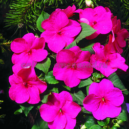 ������ ������ ��������� ������ �������� (1��-1000��) ���������������� ������   ����