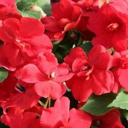 ������ ������ ��������� �������� ����� ��� (1��-1000��)   ����