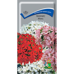 ������ ������ ������ ����   ����