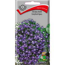 ������ ������ ������� ������� ����   ����