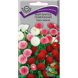 ������ ������ ���������� ��������� ����� �������   ����