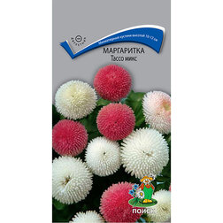 ������ ������ ���������� ����� ����   ����