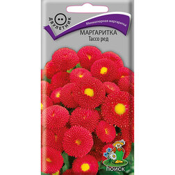 ������ ������ ���������� ����� ���   ����