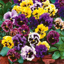 ������ ������ ����� ����� ���� ���� (1��-1000��) ���������������� ������   ����