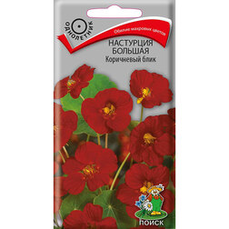 ������ ������ ��������� ������� ���������� ����   ����