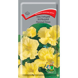 ������ ������ ��������� ������� ������ ����   ����