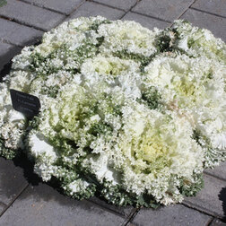 ������ ������ ������� ������������ ������ ���� (1��-1000��) ���������������� ������   ����