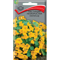 ������ ������ ��������� ����������� ������� ���   ����