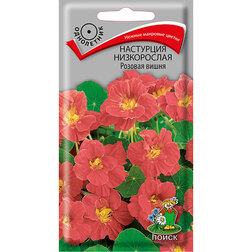 ������ ������ ��������� ����������� ������� �����   ����