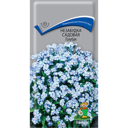 ������ ������ ��������� ������� �������   ����