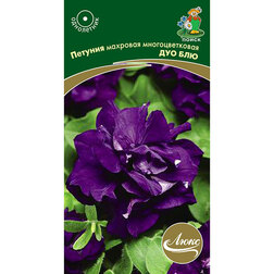 ������ ������ ������� �������� �������������� ��� ���   ����