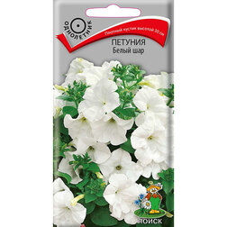 ������ ������ ������� ����� ���   ����