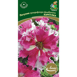 ������ ������ ������� ����������� ��������� ��������   ����