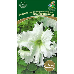 ������ ������ ������� ����������� ��������� �������� �����   ����