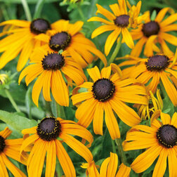 ������ ������ �������� ��������� ��������� (1��-1000��) ���������������� ������   ����