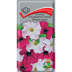 ������ ������ ������� ����������� ����� ��������� �������   ����