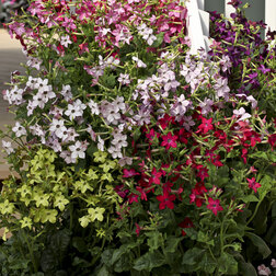 ������ ������ ����� ������ ���� (1000�����)   ����