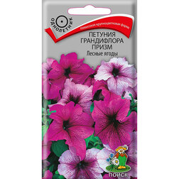 ������ ������ ������� ����������� ����� ������ �����   ����