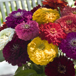 ������ ������ ������ ������� ������ ���� (1����-1000��) ���������������� ������   ����