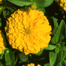 ������ ������ ������ ������ ����� (1��-1000 ��)���������������� ������   ����