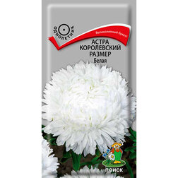 ������ ������ ����� ����������� ������ �����   ����