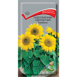 ������ ������ ������������ ���������� �������   ����