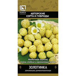 ������ ������ ��������� ������������ ���������   ����