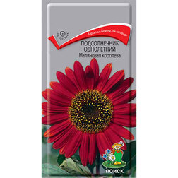 ������ ������ ������������ ���������� ��������� ��������   ����