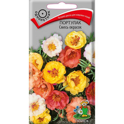 ������ ������ �������� ����� �������   ����