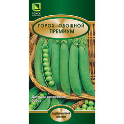 ������ ������ ����� ������� �������   ����