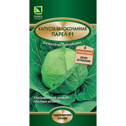 ������ ������ ������� ������������ ����� F1   ����