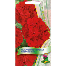 ������ ������ ���������� ��������� ������ �������   ����