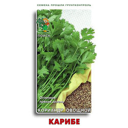 ������ ������ �������� ������� ������   ����