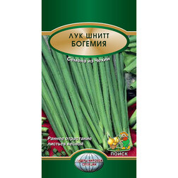 ������ ������ ��� ����� �������   ����