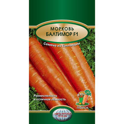 ������ ������ ������� �������� F1   ����