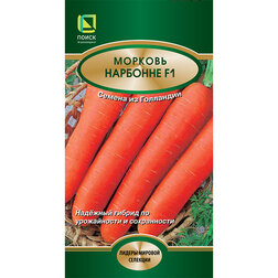 ������ ������ ������� �������� F1   ����